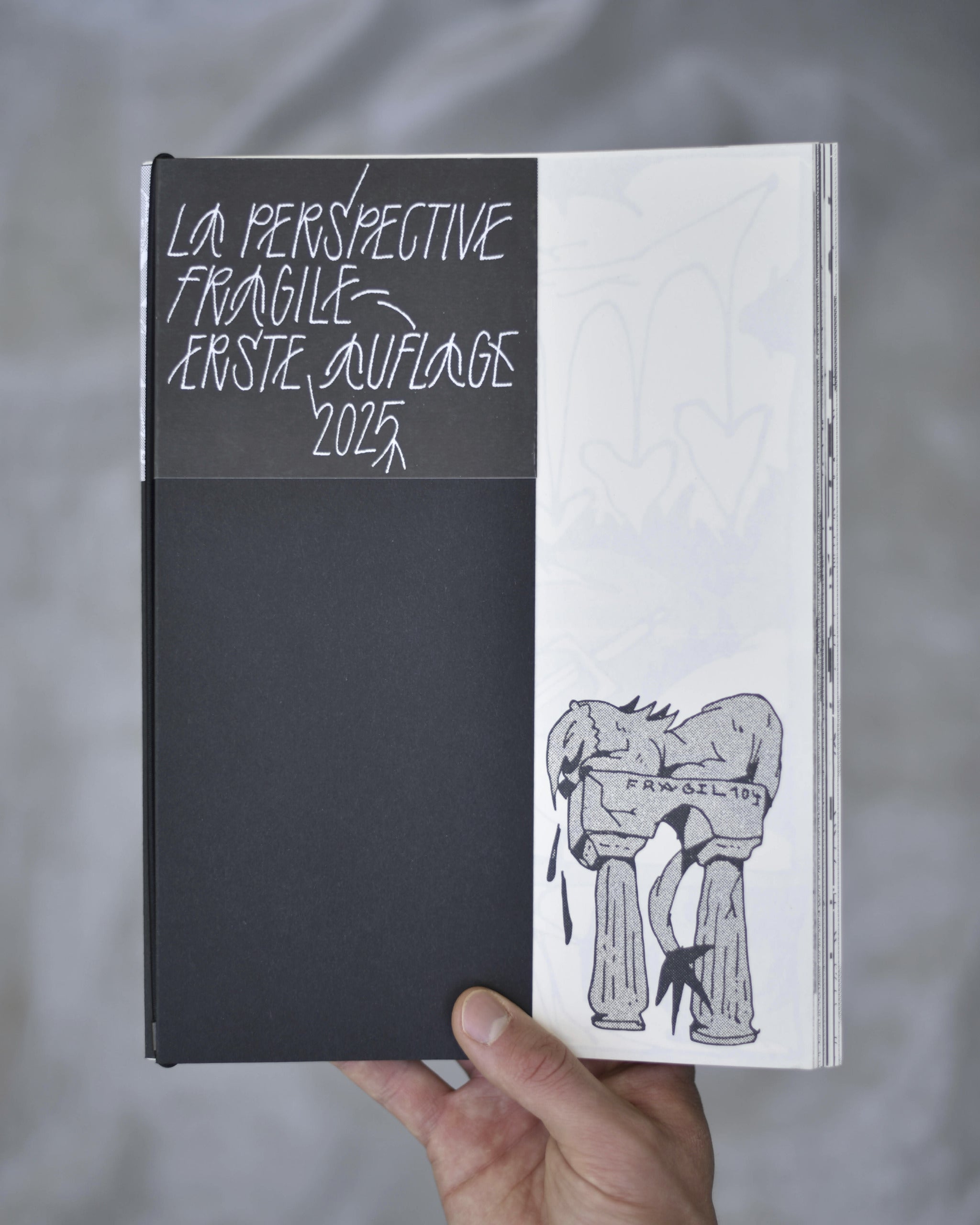 la perspective fragile